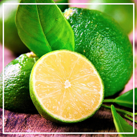 Лайм (паровая дистилляция) эфирное масло 10мл Лайм (паровая дистилляция) эфирное масло 10мл