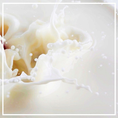 Молочная кислота 50мл Молочная кислота 50мл