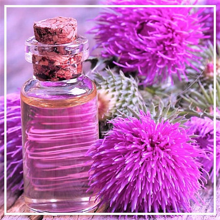 Репейное растительное масло (мацерат) 100мл Репейное растительное масло (мацерат) 100мл