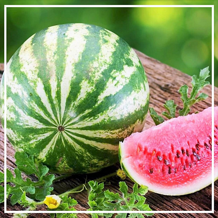 Арбузных семян растительное масло нерафинированное 100мл Арбузных семян растительное масло нерафинированное 100мл